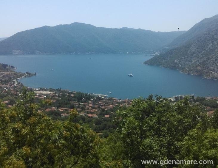 Pogled sa Risanskog brda